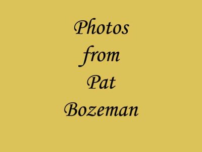 pat.jpg