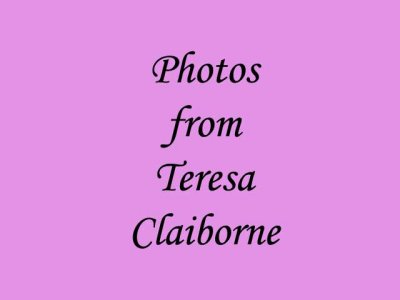 teresa.jpg