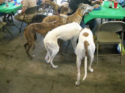 May-2010-012.jpg