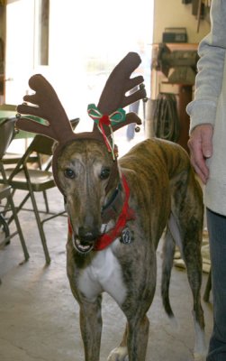 2010 Christmas Party at Needlenose Ranch