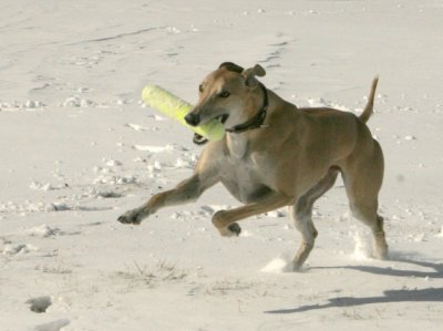 Catch-Me-If-You-Can.jpg