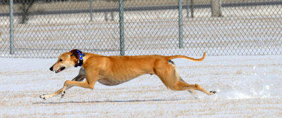 Stretched Out.jpg