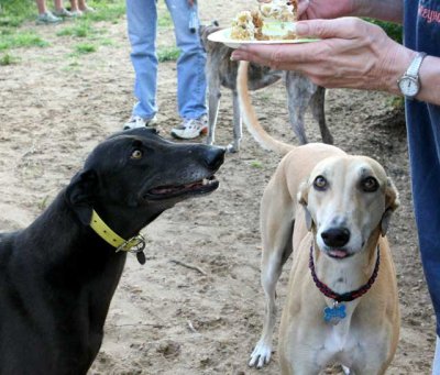 cake.jpg