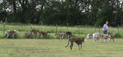 image063.jpg