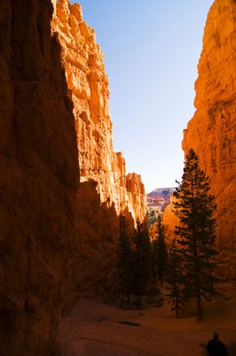 Navajo trail