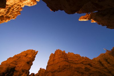 Navajo trail Looking Up
