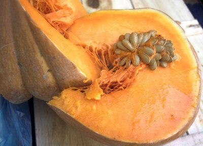 March des  Pyrenees Pumpkin 2006-01-15-05