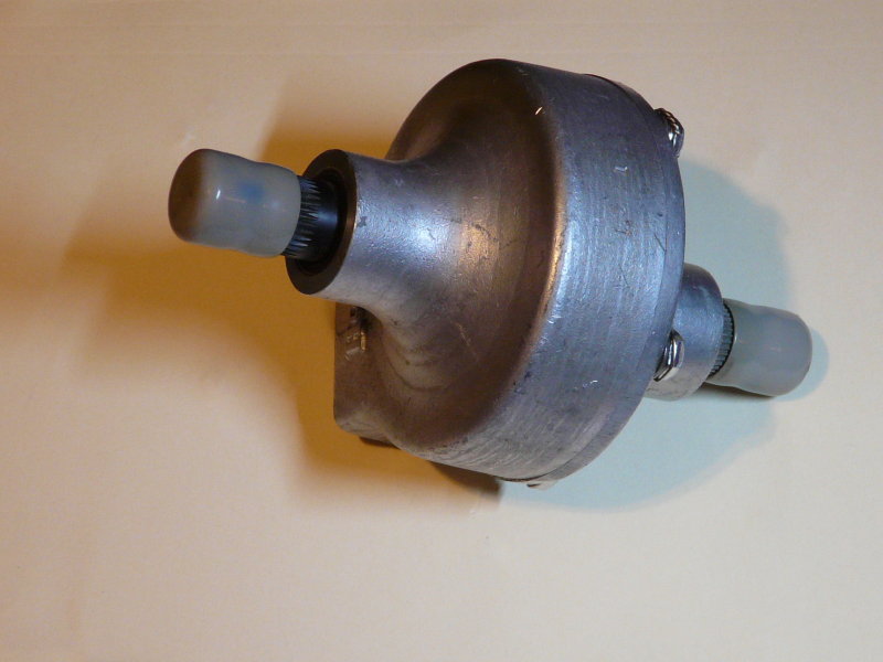P1080303.JPG