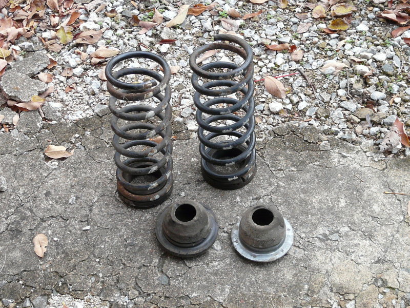P1090335.JPG