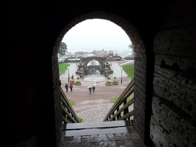 P1060436.jpg