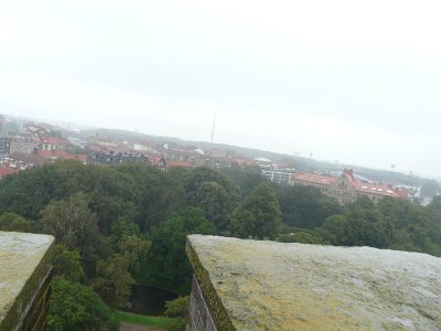 P1060480.jpg