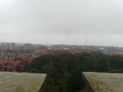P1060481.jpg