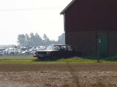 P1060825.jpg