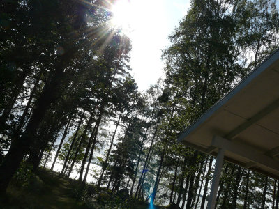 P1070500.jpg