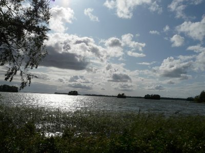P1070508.jpg
