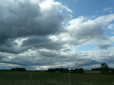 P1070624.jpg