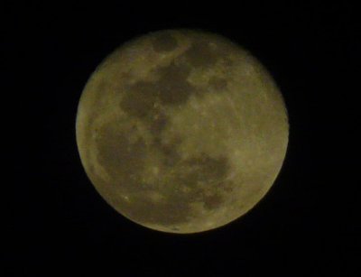 P1000035.JPG