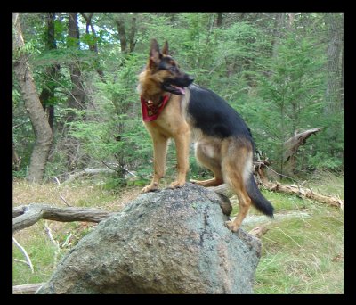 Hunter