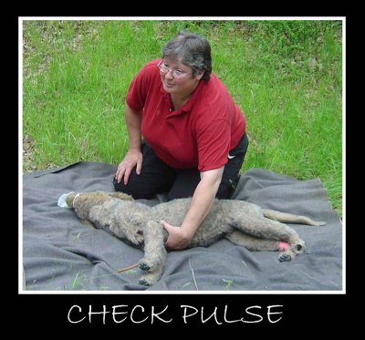 CHECK PULSE