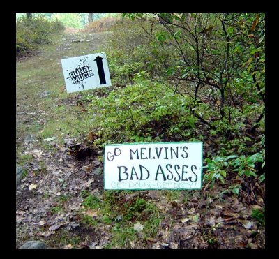 MELVINS BAD ASSES