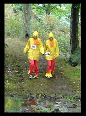 RARE DUCK SPECIES SPOTTED IN HARRIMAN