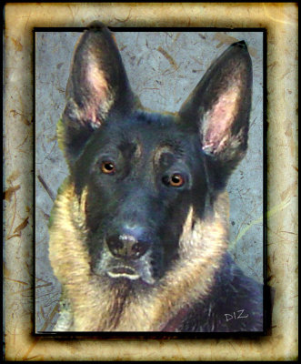 RAMAPO RESCUE DOG ASSOCIATION