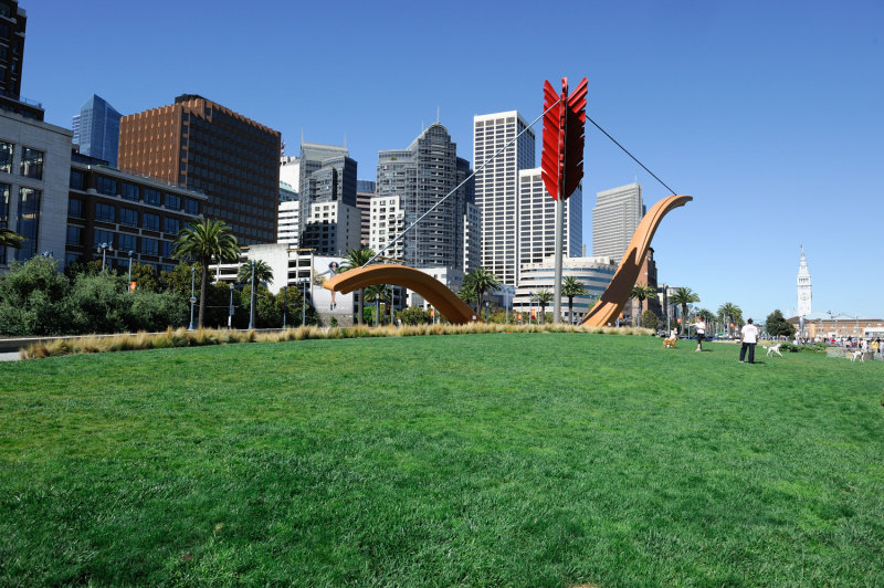 DSC_9177.jpg