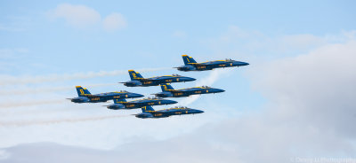_MG_9396.jpg