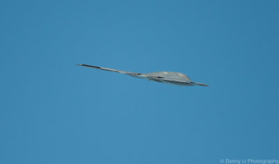 DSC_6135.jpg