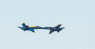DSC_7393.jpg