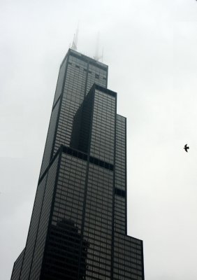 sears tower 2.jpg