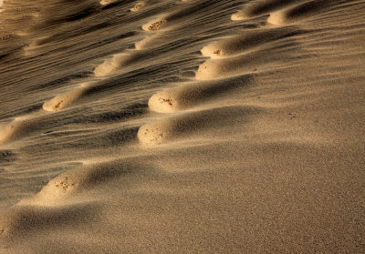 Sand Ripples 1.jpg