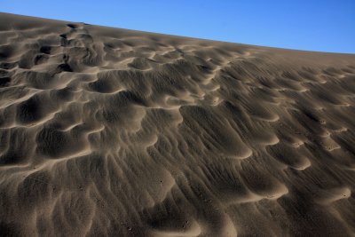 Sand Ripples 2.jpg