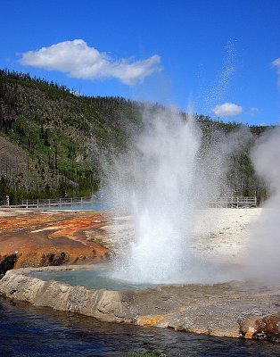 sprouter geyser.jpg