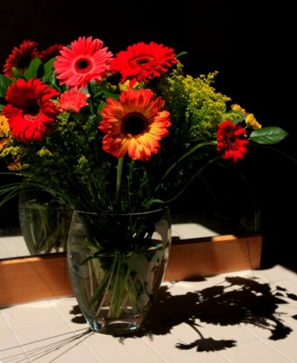 flowers and shade.jpg