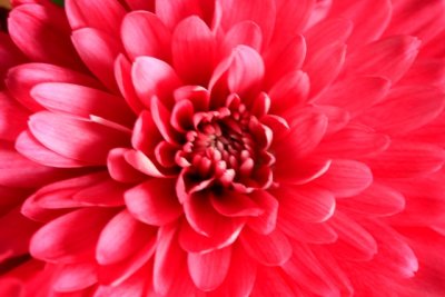 red.jpg