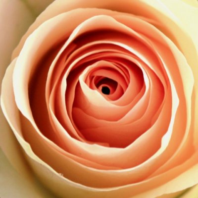 pink.jpg