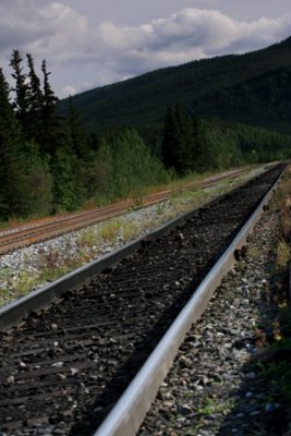 railroad in denali national park
