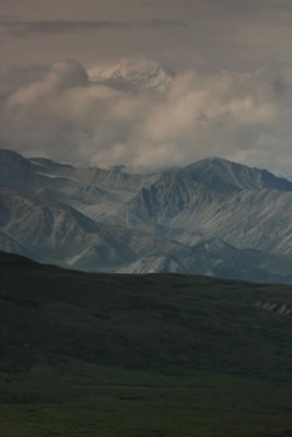 denali national park 03
