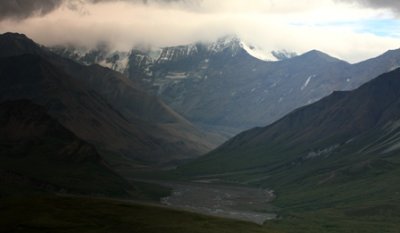 denali national park 08