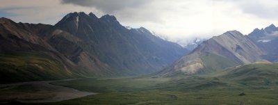 denali national park 10