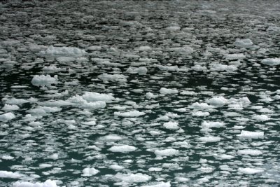 floating ices