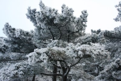 after snow.jpg