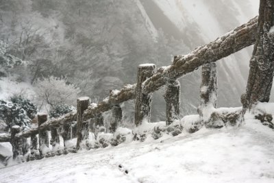 fence.jpg