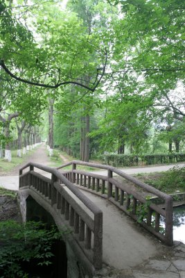 botanic park 2.jpg