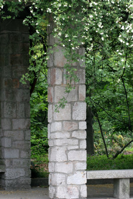 botanic park 3.jpg