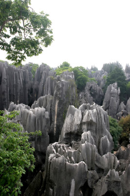 shilin 1.jpg
