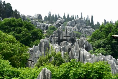 shilin 4.jpg