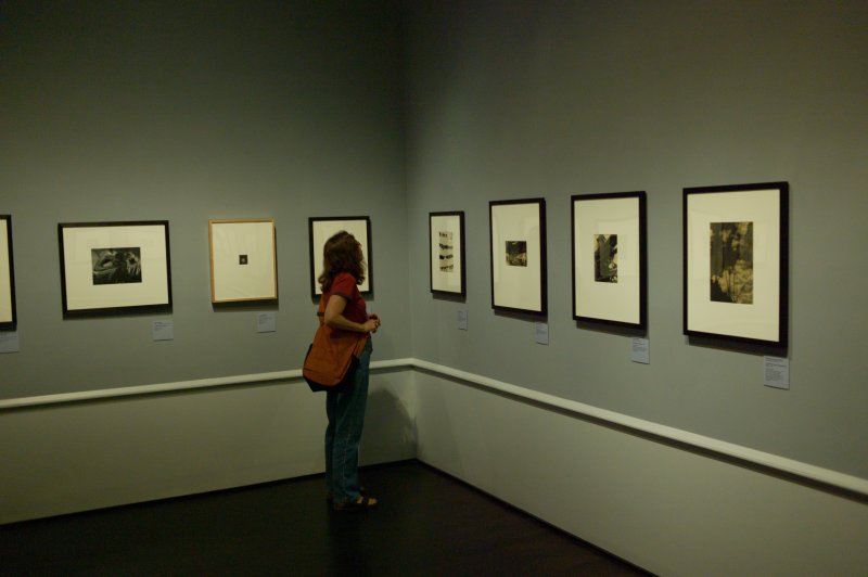 LACMA New Visions-2.jpg