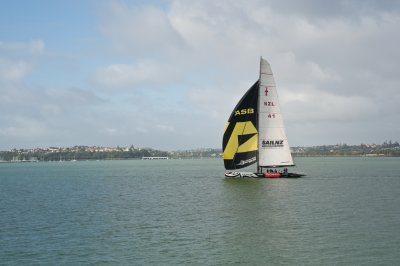 Sailing Auckland
